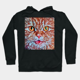 Mozaik cat face Hoodie